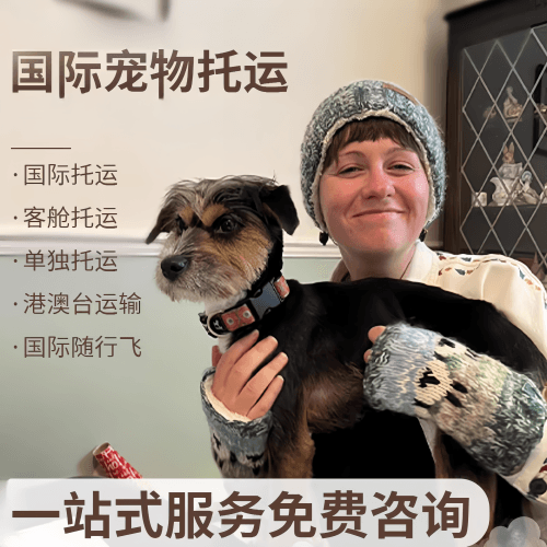 岳阳市国际宠物托运到阿根廷宠物入境规定和要