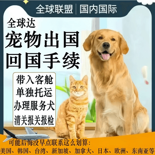 岳阳市宠物托运到柬埔寨宠物入境规定和要求