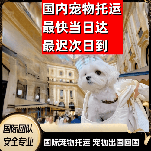 岳阳市到澳大利亚（澳洲）宠物入境规定和要求